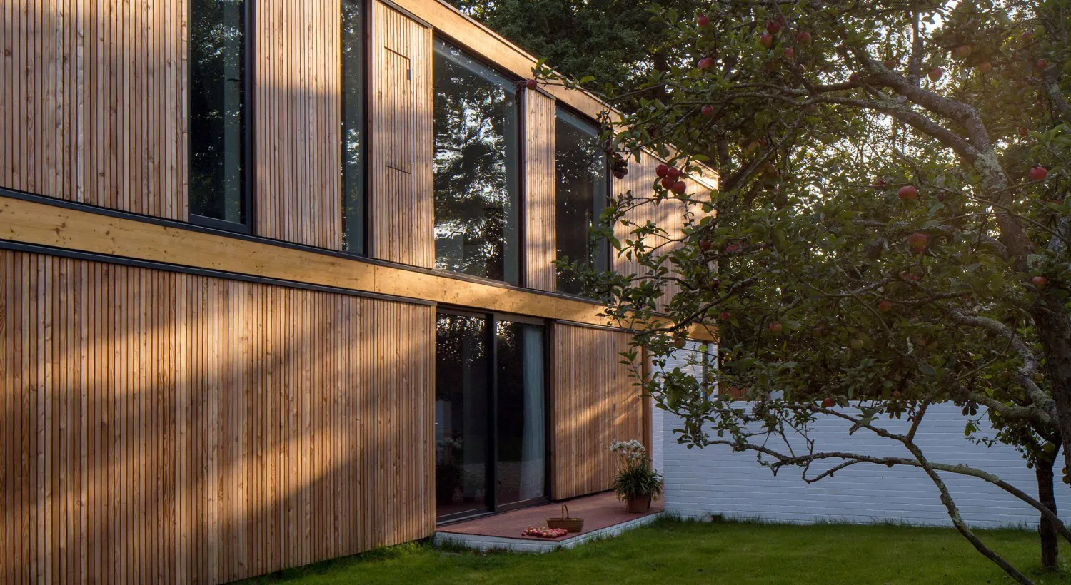 Strom Architects Woodpeckers 06a v2