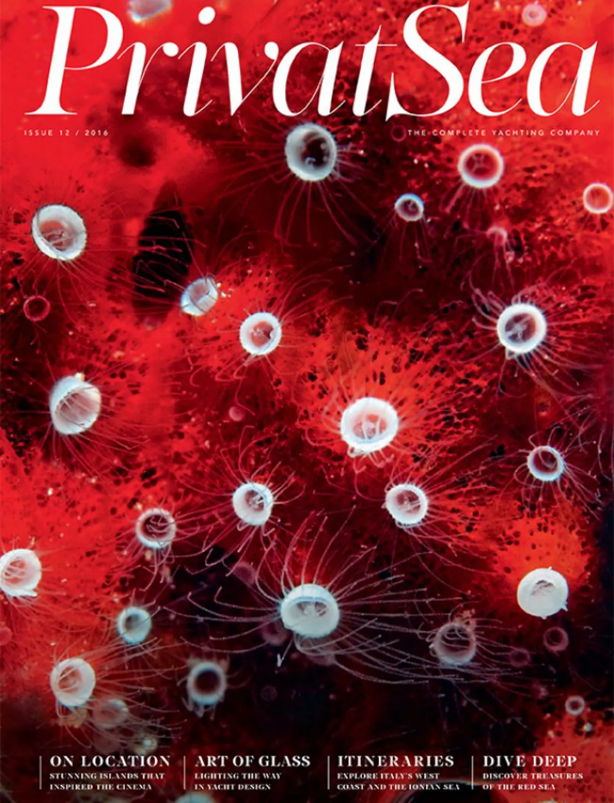 StromArchitects PrivatSeaSuperhouse Cover2016