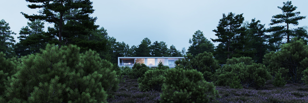 StromArchitects 2109 Peninsula House 12 main v3